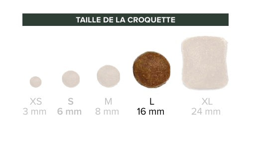 Croquettes chien junior - Gamme Croc effort