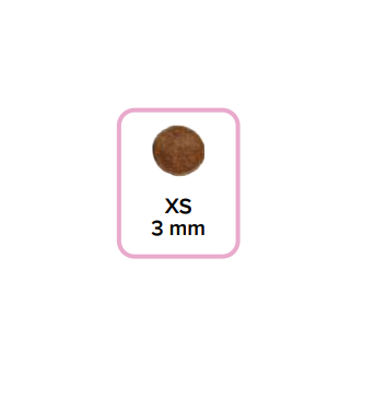 Croquettes chaton - Gamme classique